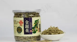 金银花图片