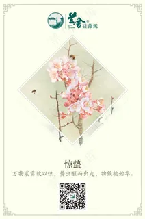 惊蛰创意海报设计