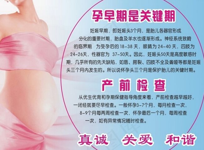 计生展板cdr矢量模版下载