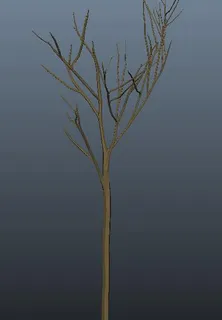 3D树木模型 3D树木模型