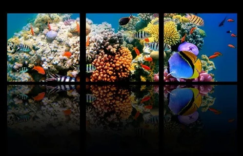 梦幻海底三联画图片