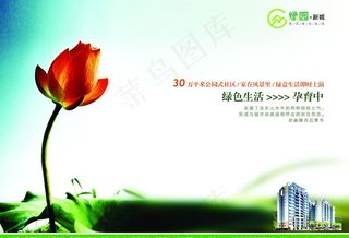 房地产广告dm单页图片