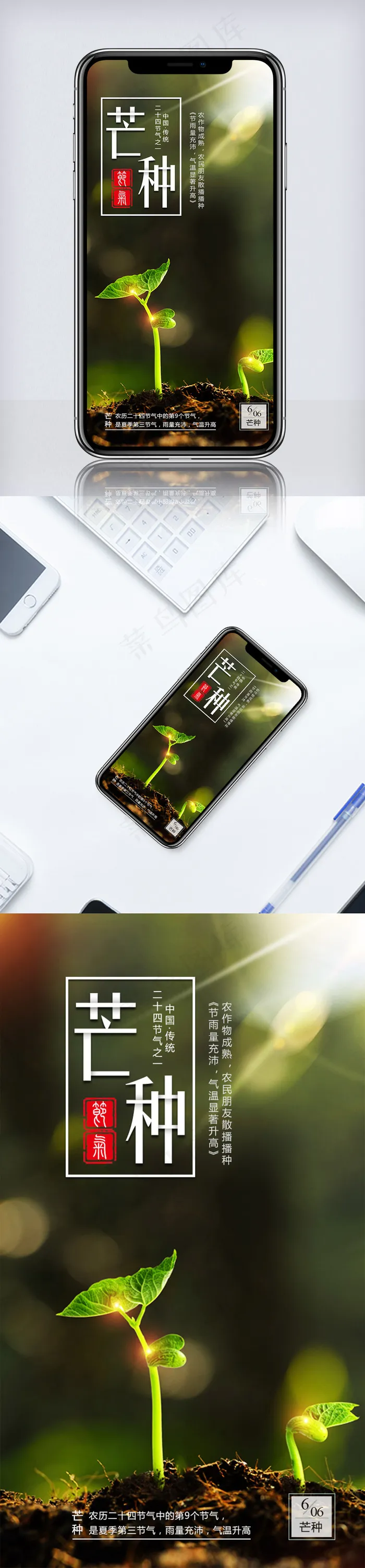 二十四节气芒种手机海报psd模版下载