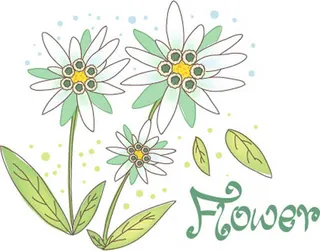 鲜艳花朵植物矢量图