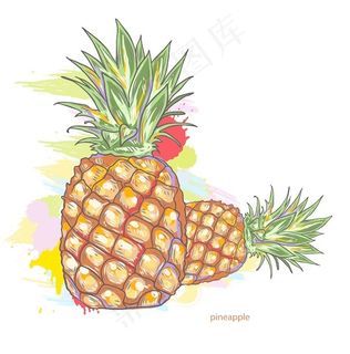 丰富多彩的飞溅矢量菠萝