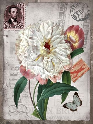 欧美风格复古花朵图片