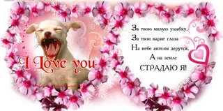 照片模板情人节心相印系列玫瑰边框图...