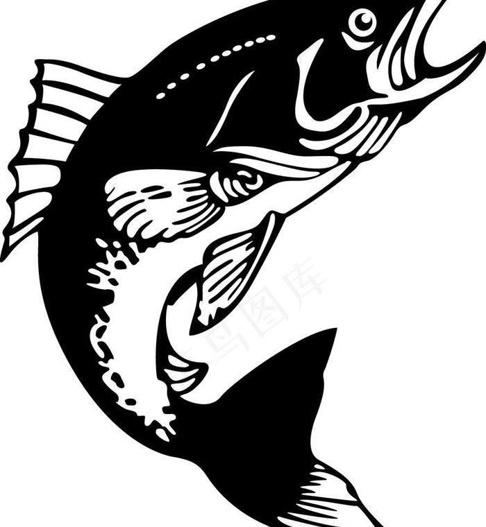 鲅鱼矢量图图片