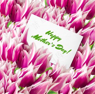 母亲节贺卡与鲜花图片