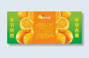 脐橙海报图片