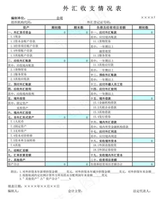 外汇收支情况表