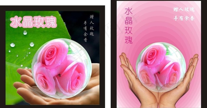 玫瑰水晶球图片cdr矢量模版下载