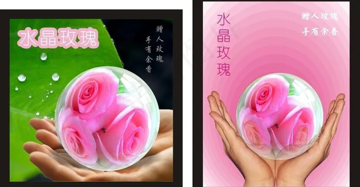 玫瑰水晶球图片cdr矢量模版下载