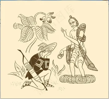 孔雀姑娘插图集 孔雀姑娘插图集