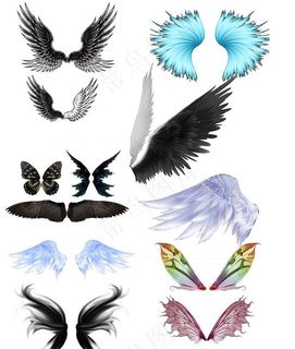 翅膀模板图片