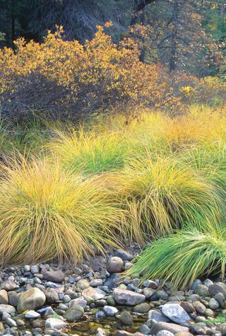 金秋摄影图片素材