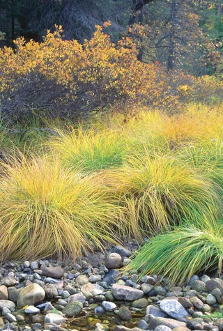 金秋摄影图片素材