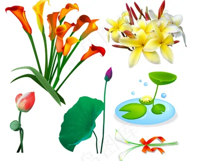 手绘花卉图片 手绘花卉图片