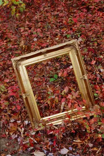 树叶 相框图片 树叶 相框图片