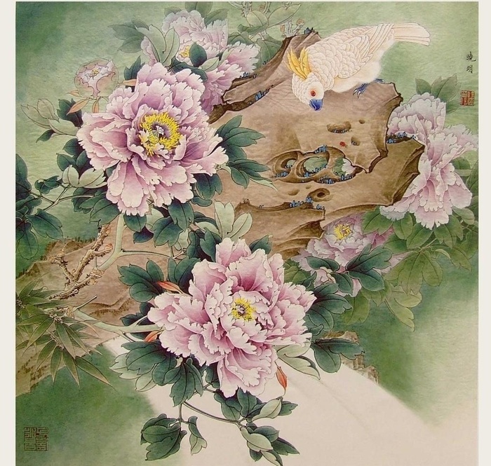 晓明图片