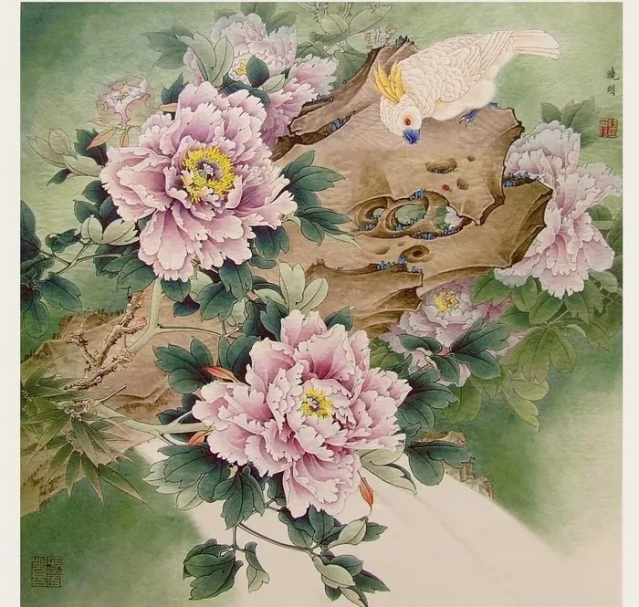 晓明图片