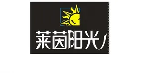 地板设计图片