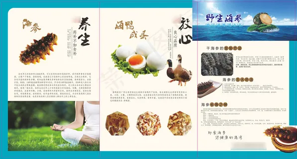 海参三折页 16×25.5cm