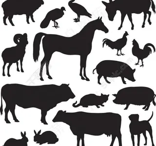 家禽剪影图片