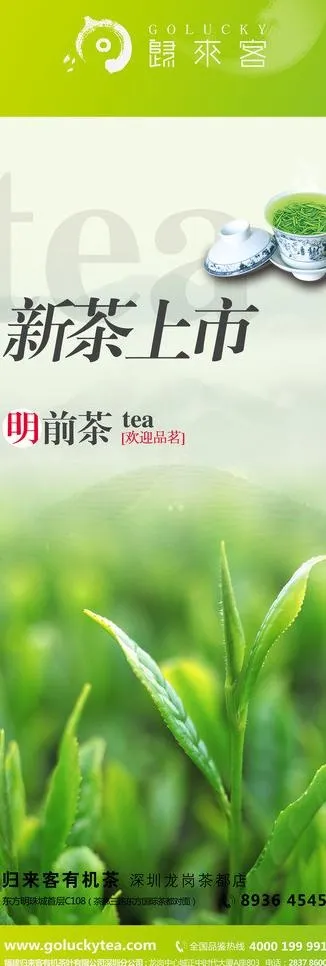 绿茶高档设计图片