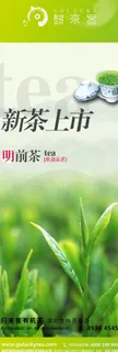 绿茶高档设计图片