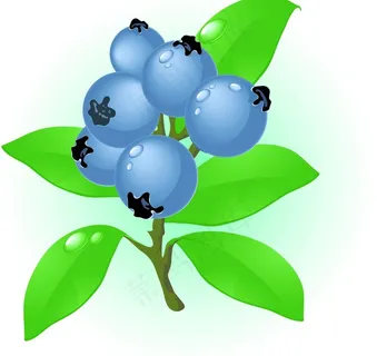 水果矢量素材图片