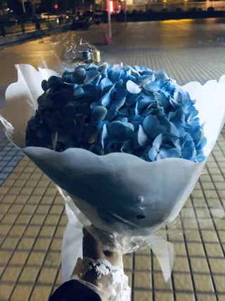 高清晚拍绣球花图