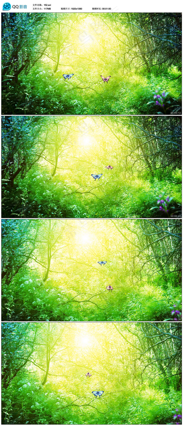 绚丽开场庆典颁奖通用LED背景视频