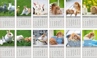 2011兔年高清写实兔子挂历矢量