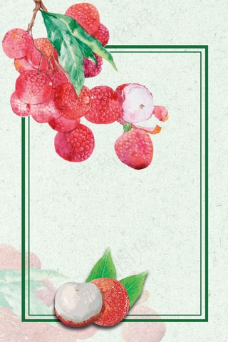 简洁夏日荔枝水果背景