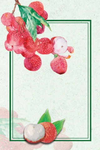 简洁夏日荔枝水果背景