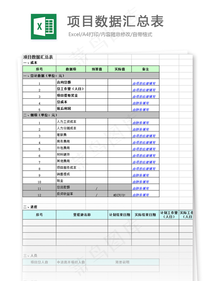 项目数据汇总表格