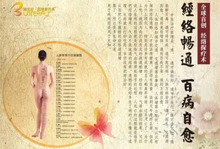 中医经络海报图片