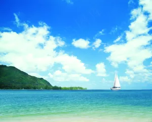 夏日海滩风景椰树图片