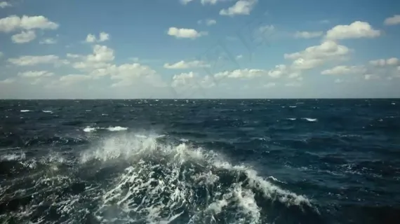 实用高清大海影视