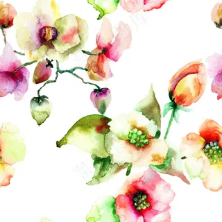水彩花卉图片 水彩花卉图片
