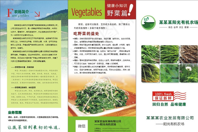 8开三折页图片cdr矢量模版下载