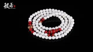 天然白砗磲图片