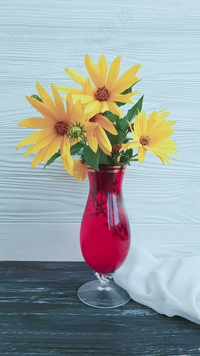 花高清摄影图片
