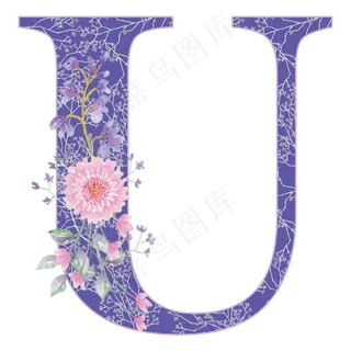 字母u 字母u