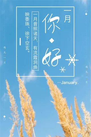 唯美芦苇背景一月你好创意海报模板