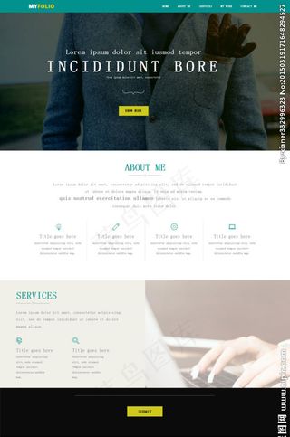 个人投资组合网站模板图片