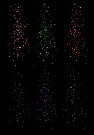 花瓣 炫光 炫彩