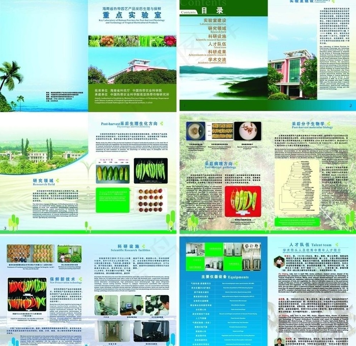 海南热带园艺产品图片cdr矢量模版下载