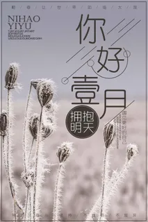 2018节约风格你好一月海报设计